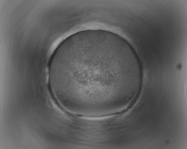 X0000116791509200912181242