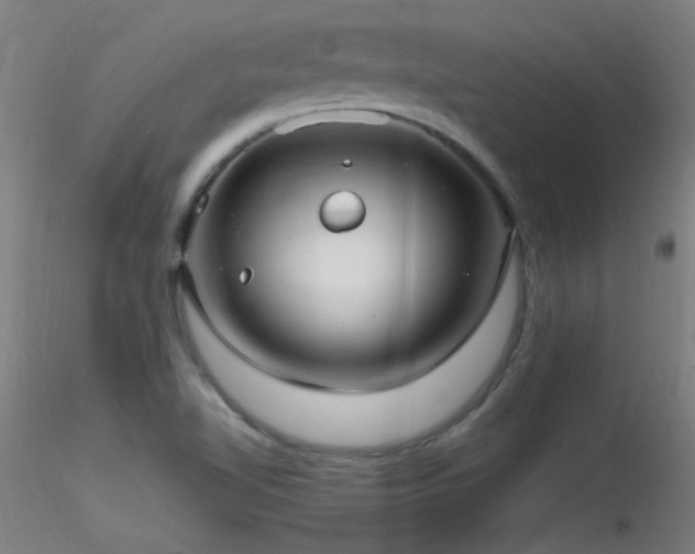 X0000116791510200912181242