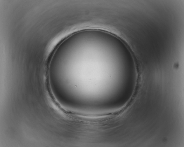 X0000116791511200912181242