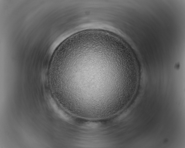 X0000116791513200912181242