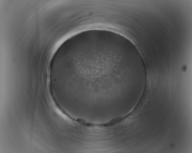 X0000116791515200912181242