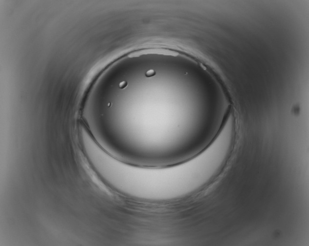 X0000116791517200912181242