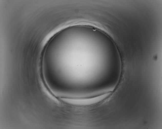 X0000116791518200912181242