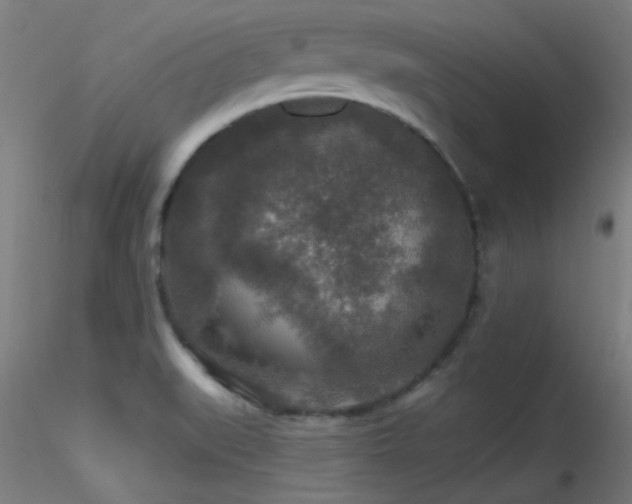 X0000116791519200912181242