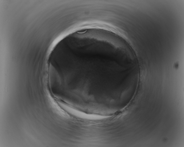 X0000116791522200912181242