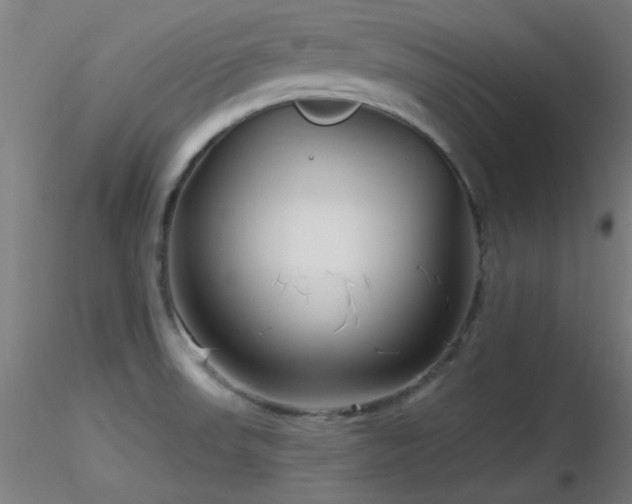 X0000116791523200912181242