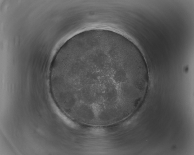 X0000116791525200912181242