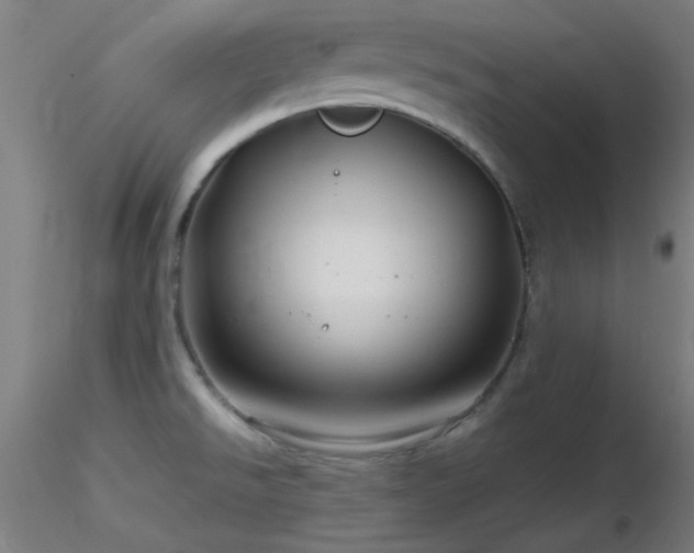 X0000116791526200912181242