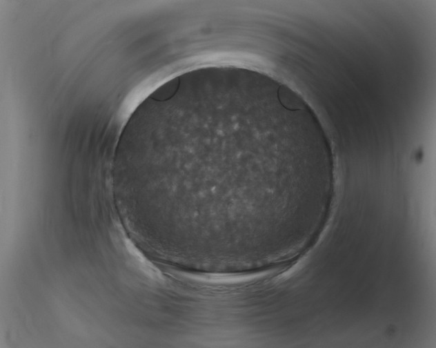 X0000116791529200912181242