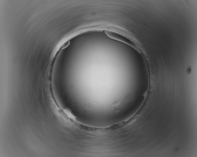 X0000116791530200912181242
