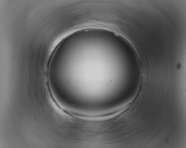 X0000116791531200912181242