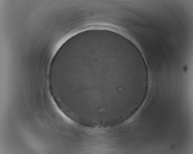 X0000116791533200912181242