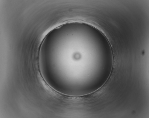 X0000116791534200912181242