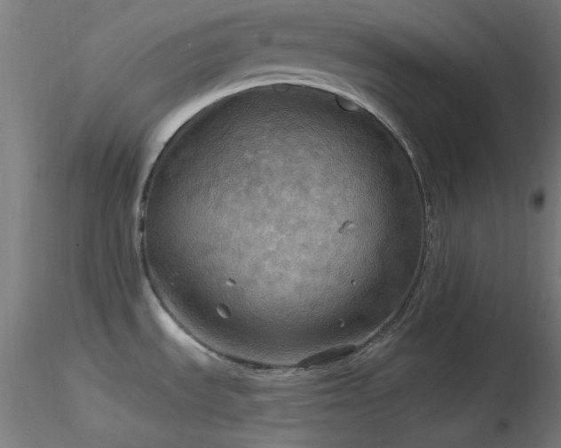 X0000116791535200912181242