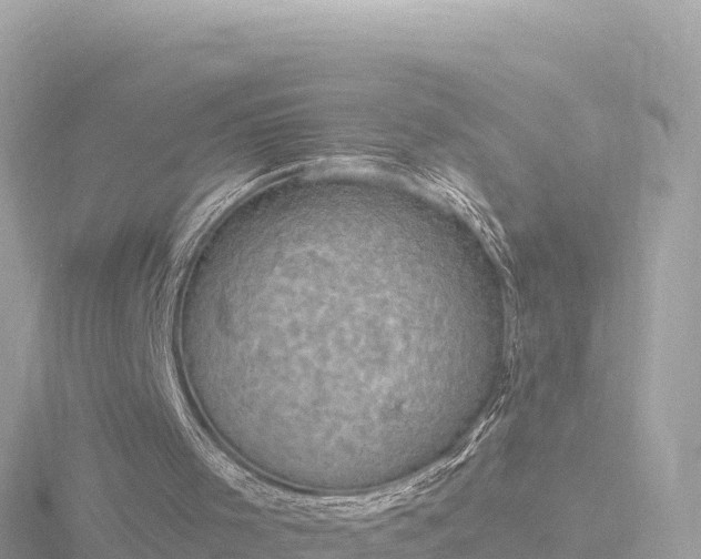 X0000116790001200912241211