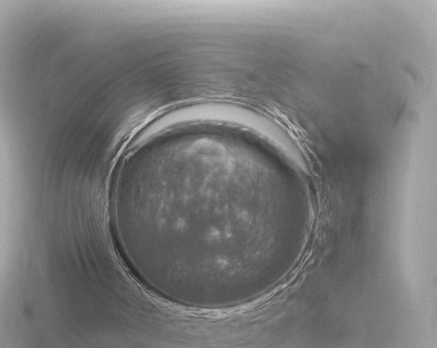 X0000116790002200912241211