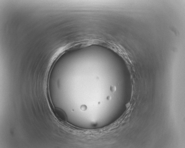 X0000116790003200912241211