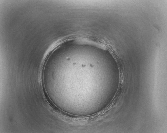 X0000116790004200912241211