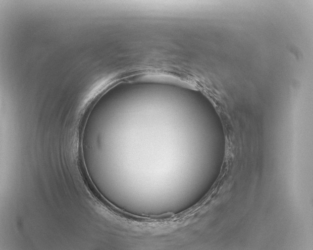 X0000116790005200912241211