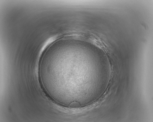 X0000116790006200912241211