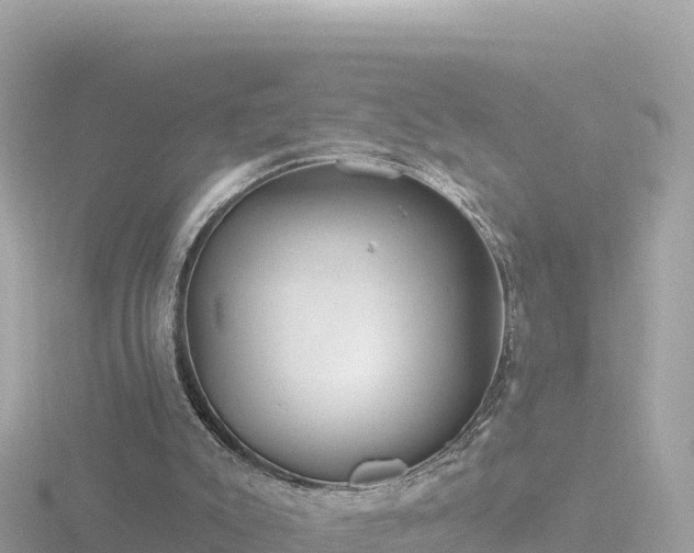 X0000116790007200912241211