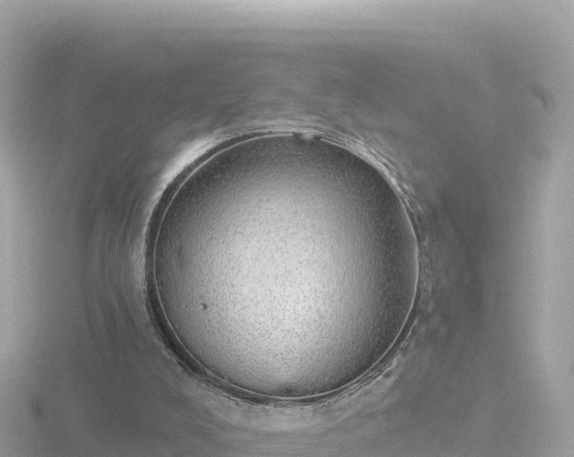 X0000116790008200912241211