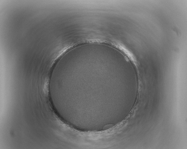 X0000116790009200912241211