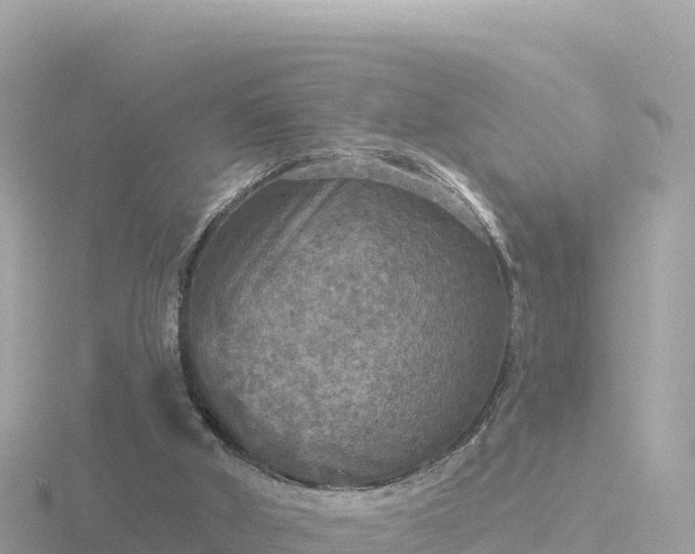 X0000116790010200912241211