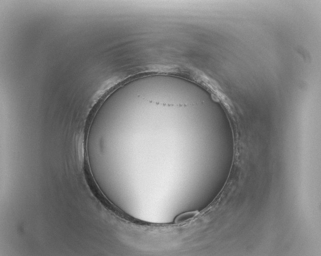 X0000116790011200912241211