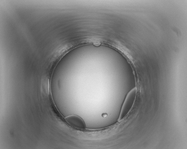 X0000116790013200912241211