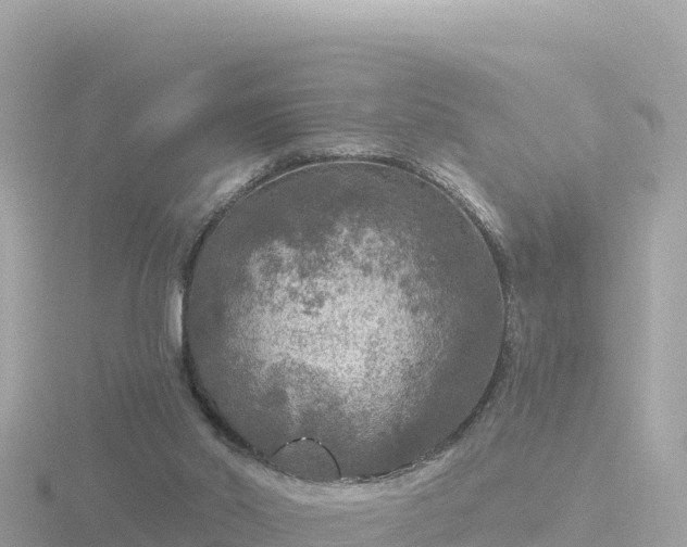 X0000116790014200912241211