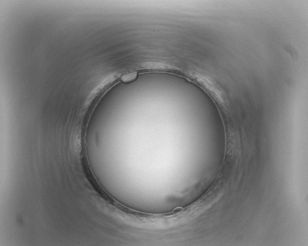 X0000116790015200912241211