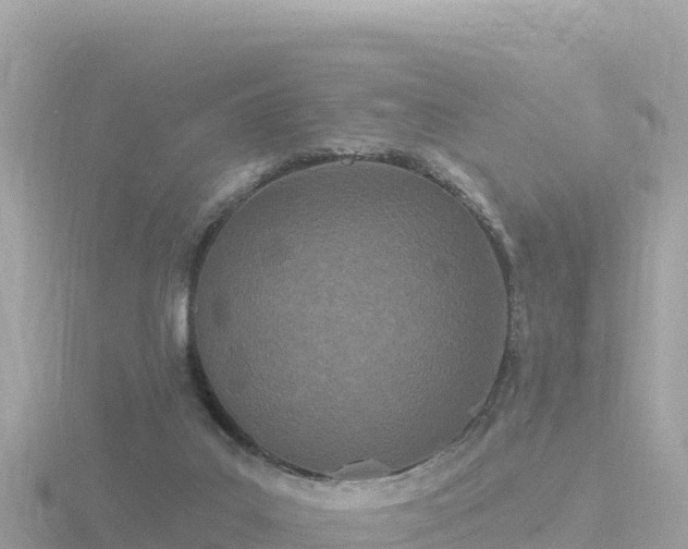 X0000116790019200912241211