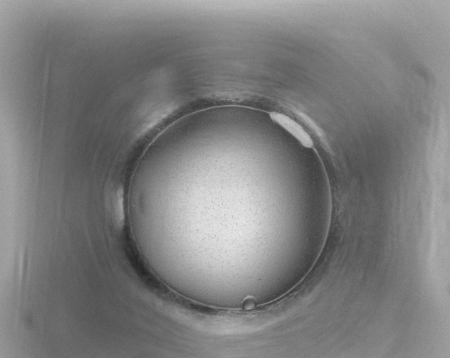 X0000116790020200912241211