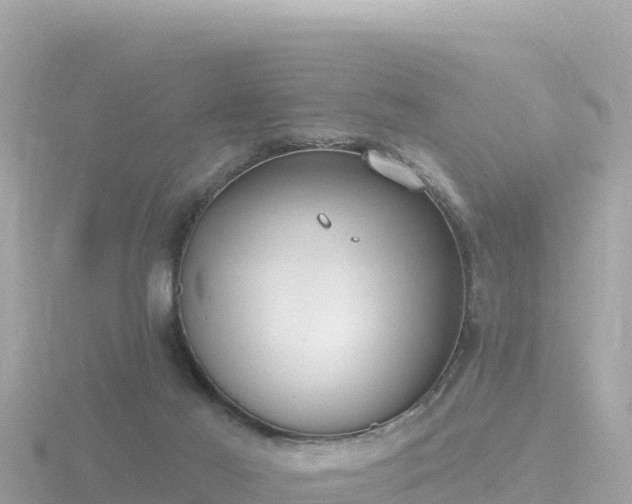 X0000116790021200912241211