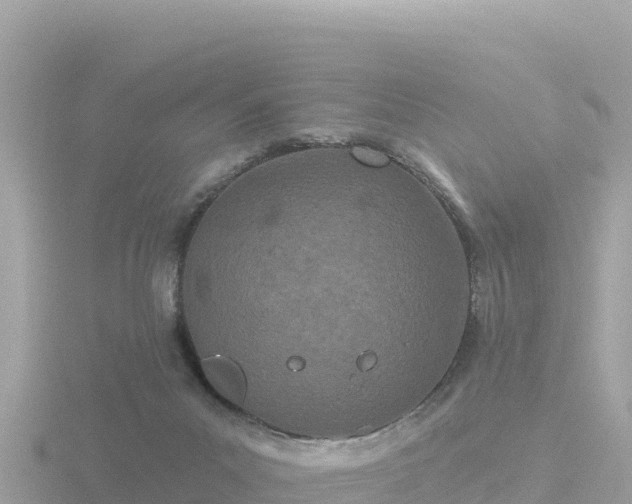 X0000116790023200912241211