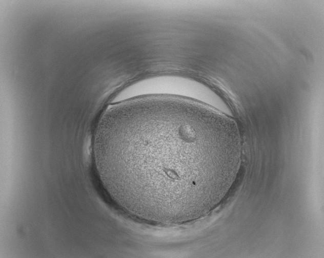 X0000116790024200912241211