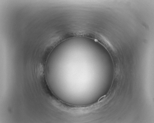 X0000116790025200912241211