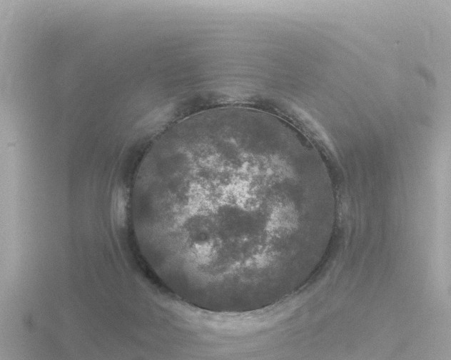 X0000116790026200912241211