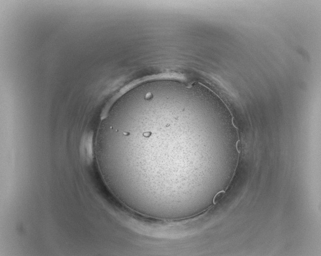 X0000116790028200912241211