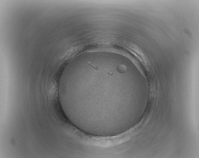 X0000116790029200912241211