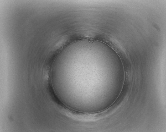 X0000116790032200912241211