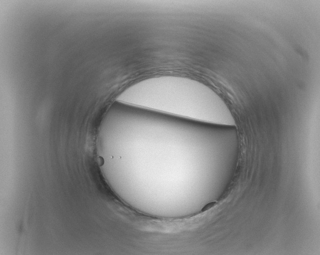 X0000116790033200912241211