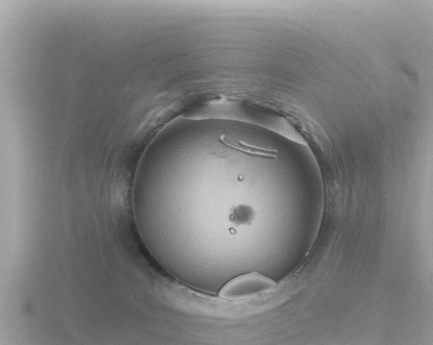 X0000116790035200912241211