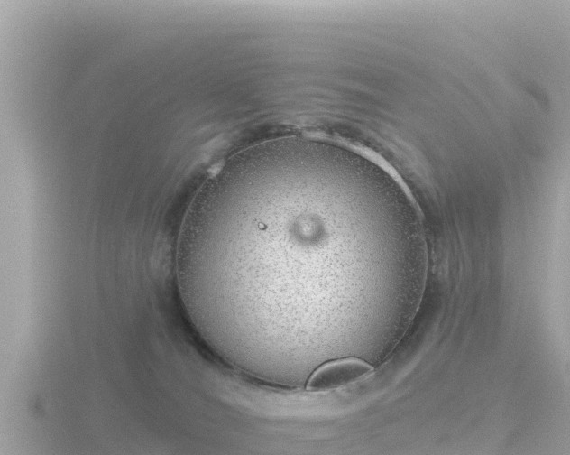 X0000116790036200912241211