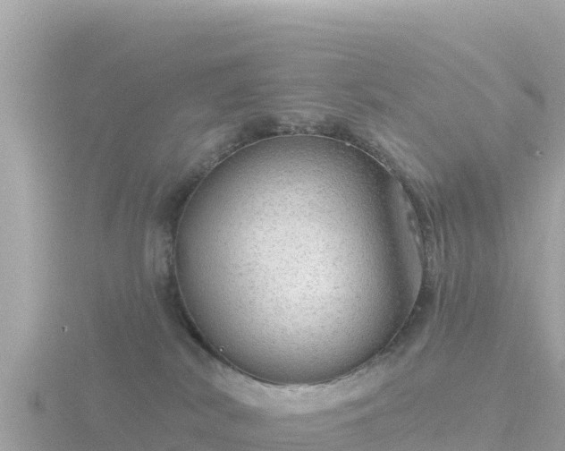 X0000116790038200912241211