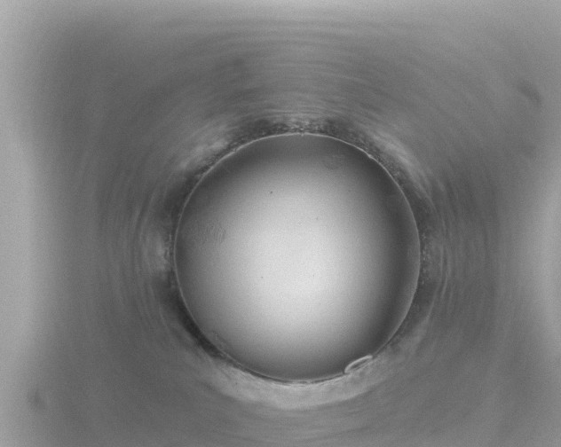 X0000116790039200912241211