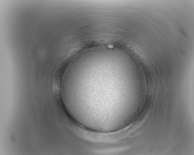 X0000116790040200912241211