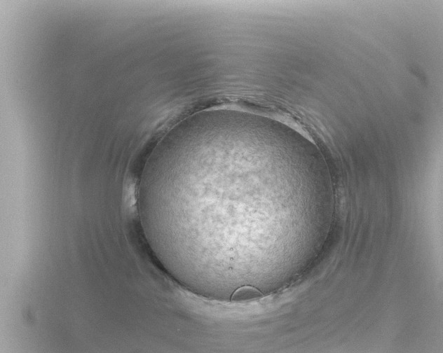 X0000116790042200912241211