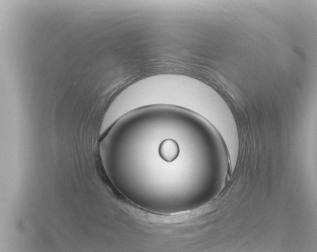 X0000116790043200912241211